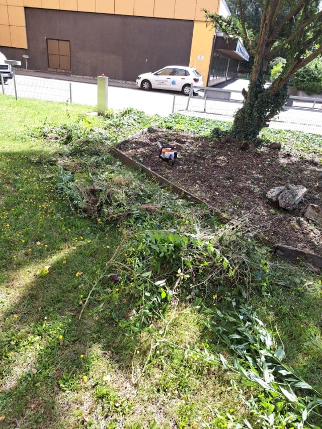 Professionelle Pflege von Grünanlagen und Gärten