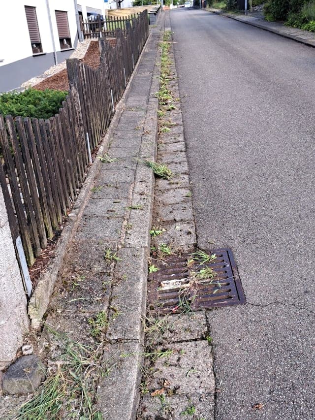 Professioneller Heckenschnitt und Formschnitt in Homburg