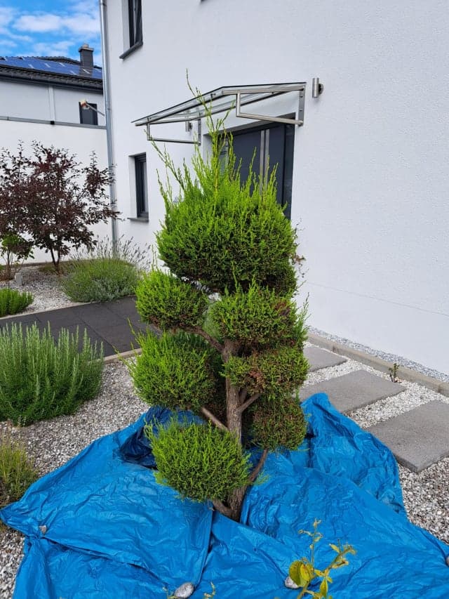 Qualifizierte Handwerksarbeiten und Wartung